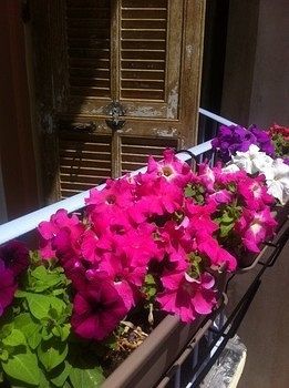 Hostel Altea نيس المظهر الخارجي الصورة